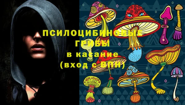 стафф Протвино