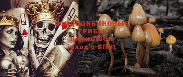 соль курить ск Пролетарск